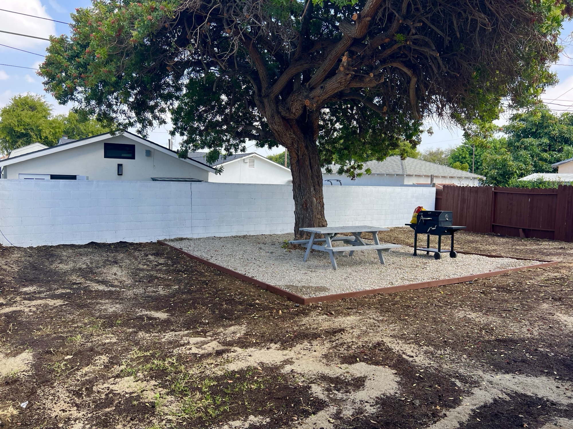 Backyard with fresh grass seed growing in